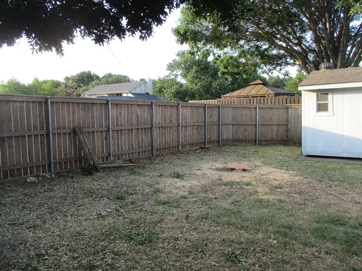 Cleared yard after professional tree removal in Kiel